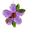 Crystal Expressions 3.0 Inch Daisy Flower With Friend Ornament Spring Tree Ornament , Summer Spring Suncatcher